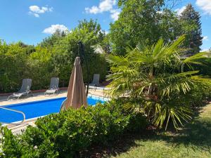 a pool with a tan umbrella and a palm tree at Funny Füred in Balatonfüred