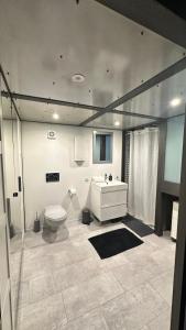 a bathroom with a toilet and a sink at B@Home Apartments in Sanem