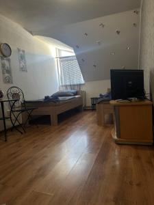 a living room with a bed and a television at Penzion Bilina in Teplice +6 photos