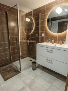 a bathroom with a shower and a sink at Renée-Sens in Châteauvillain