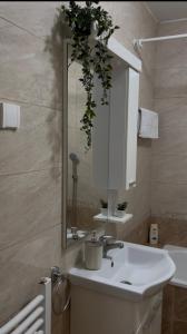 a bathroom with a white sink and a mirror at Apartman Milkovic 2 in Sombor +16 photos