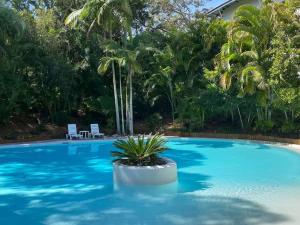 a blue swimming pool with a palm tree at Azure Beach Retreat 2 in Rainbow Beach