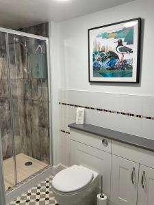 a bathroom with a toilet and a shower and a picture at Stratton Gardens in Bude +35 photos