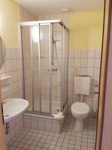 a bathroom with a shower and a toilet and a sink at Pension Schweizer Hof in Wernigerode
