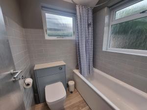 a bathroom with a toilet and a tub and a window at Central Cambridge -comfortable Victorian Terrace in Cambridge