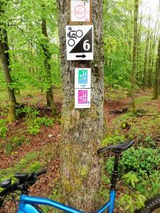Jízda na kole v ubytování Landgasthof Zur Post, Hochwälder Radstation nebo okolí