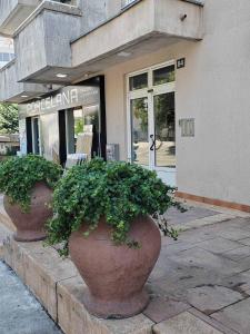 two large potted plants sitting outside of a store at Apartman Angela in Budva +10 photos