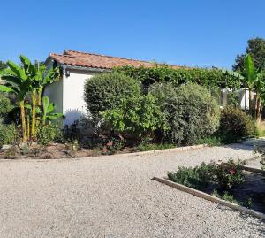 a house with bushes and a gravel driveway at Gîte le Relais d'Eden in Barbentane