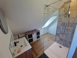 a bathroom with a shower and a sink at La maison des Hirondelles 2 in Fort-Mahon-Plage +9 photos