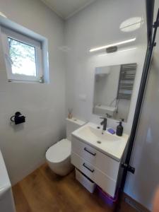 a bathroom with a toilet and a sink and a mirror at Świerkowy Las in Sanok +31 photos