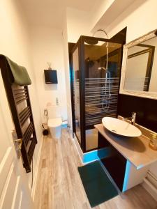 a bathroom with a shower and a sink and a toilet at Le Petit Condette in Condette