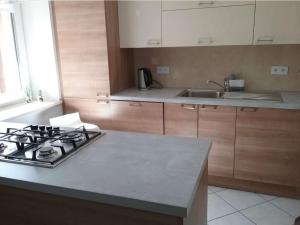 a kitchen with a stove and a counter top at Pokoje J&J in Grabówka
