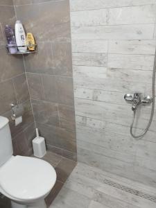 a bathroom with a toilet and a shower at Home in village in Korçë