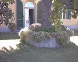 Vonkajšia záhrada v ubytovaní B&B Villa Panicucci