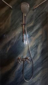 a shower with a shower head in a room at Wein-Hotel Auberge Mistral in Freiberg +78 photos