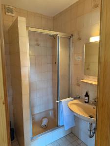 a bathroom with a shower and a sink at Schwaigerhof Rottau in Rottau +16 photos