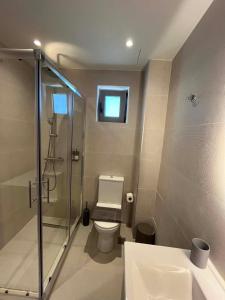 a bathroom with a shower and a toilet and a sink at Nestia Residences in Kardamaina