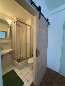 a bathroom with a shower and a toilet and a sink at Hotel Gästehaus Altena in Altena +43 photos
