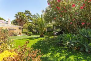 a garden with a picnic table and some plants at Casa da Palmeira in Sesimbra