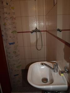 a bathroom with a sink and a shower at Farma Rybníček in Pelhřimov