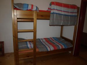 a bunk bed with a ladder in a room at Farma Rybníček in Pelhřimov
