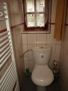 a bathroom with a toilet and a window at Farma Rybníček in Pelhřimov