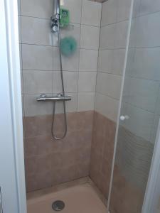 a bathroom with a shower with a glass door at Chez Marie et Guy 
