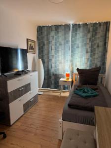 a bedroom with a bed and a flat screen tv at Elbstone 2 in Wittenberge