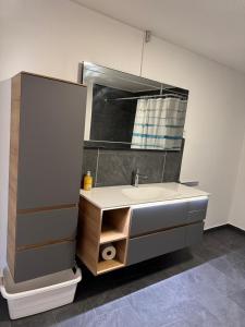 a bathroom with a sink and a mirror at Elbstone 2 in Wittenberge