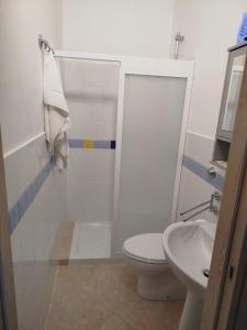 a bathroom with a shower and a toilet and a sink at Baita Monte Caruso in Filiano +22 photos