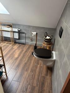 a bathroom with a toilet with a black lid at Apartament 2-pokojowy, z atrakcjami dla dzieci in Kolonia Salnia +45 photos