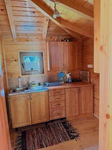 a kitchen with wooden cabinets and a sink in a cabin at Naš raj in Berane