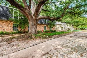 a tree in front of a brick building with a sidewalk at Healing Haven King Bed Suite in Dallas