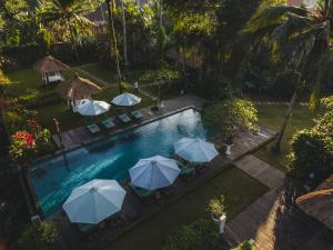 an overhead view of a swimming pool with umbrellas at The Hidden Paradise Ubud - CHSE Certified in Ubud +95 photos