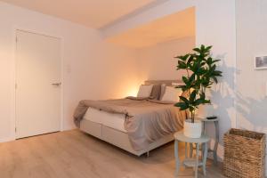 a bedroom with a bed and a potted plant at Studio Loet in Schagen