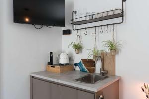 a kitchen with a sink and a tv and plants at Ben Thuis Studio Alkmaar in Alkmaar