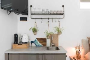 a kitchen with a sink and potted plants on the wall at Ben Thuis Studio Alkmaar in Alkmaar +13 photos