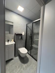 a bathroom with a toilet and a shower and a sink at Horiza Białe Błota in Białe Błota
