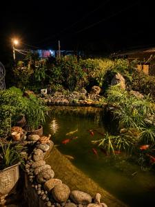 a fish pond in a garden at night at Mộc An SaPa Home in Sapa