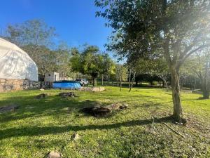 a dome in a field with a tree and grass at Private Dome Relax in Nature in San Bernardino