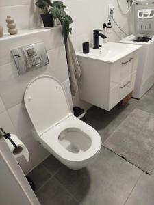 a bathroom with a white toilet and a sink at Apartmán VERDE in Suchá Hora