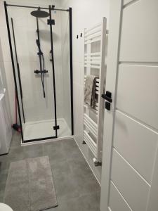 a bathroom with a shower and a glass door at Apartmán VERDE in Suchá Hora