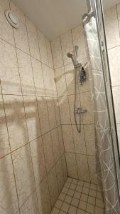 a shower with a glass door in a bathroom at ''Ābeļdārzs'' in Jelgava +35 photos