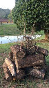a pile of logs sitting next to a tree at Chácara sabor de Mel in Ibiúna