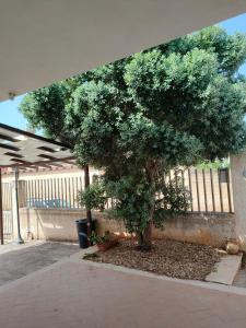 a tree in a courtyard next to a fence at Villa Cristina in Triscina