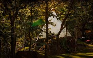 a person standing in a tree next to a lake at TipidaSerra - Teepee. in Brumadinho +13 photos