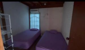 a small room with purple beds and a window at Cabaña Niva in Coveñas