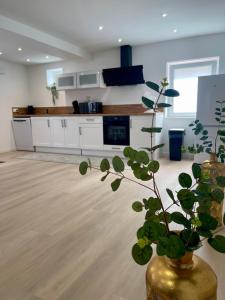 a kitchen with a vase with a plant in it at La Maison Caroline in Surbourg