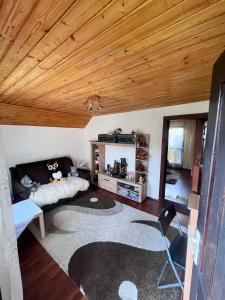 a living room with a couch and a wooden ceiling at Vacation home E in Borsec