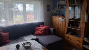 a living room with a blue couch with red pillows at Waldhaus mit Seeblick in Nyhammar